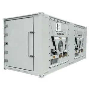 White refrigerated container with two Thermo King refrigeration units at one end